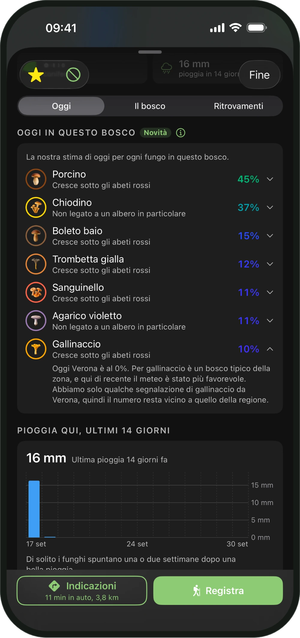 La scheda di un bosco