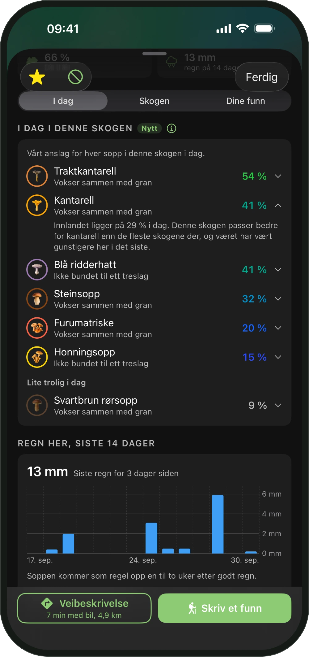 Kortet til en skog