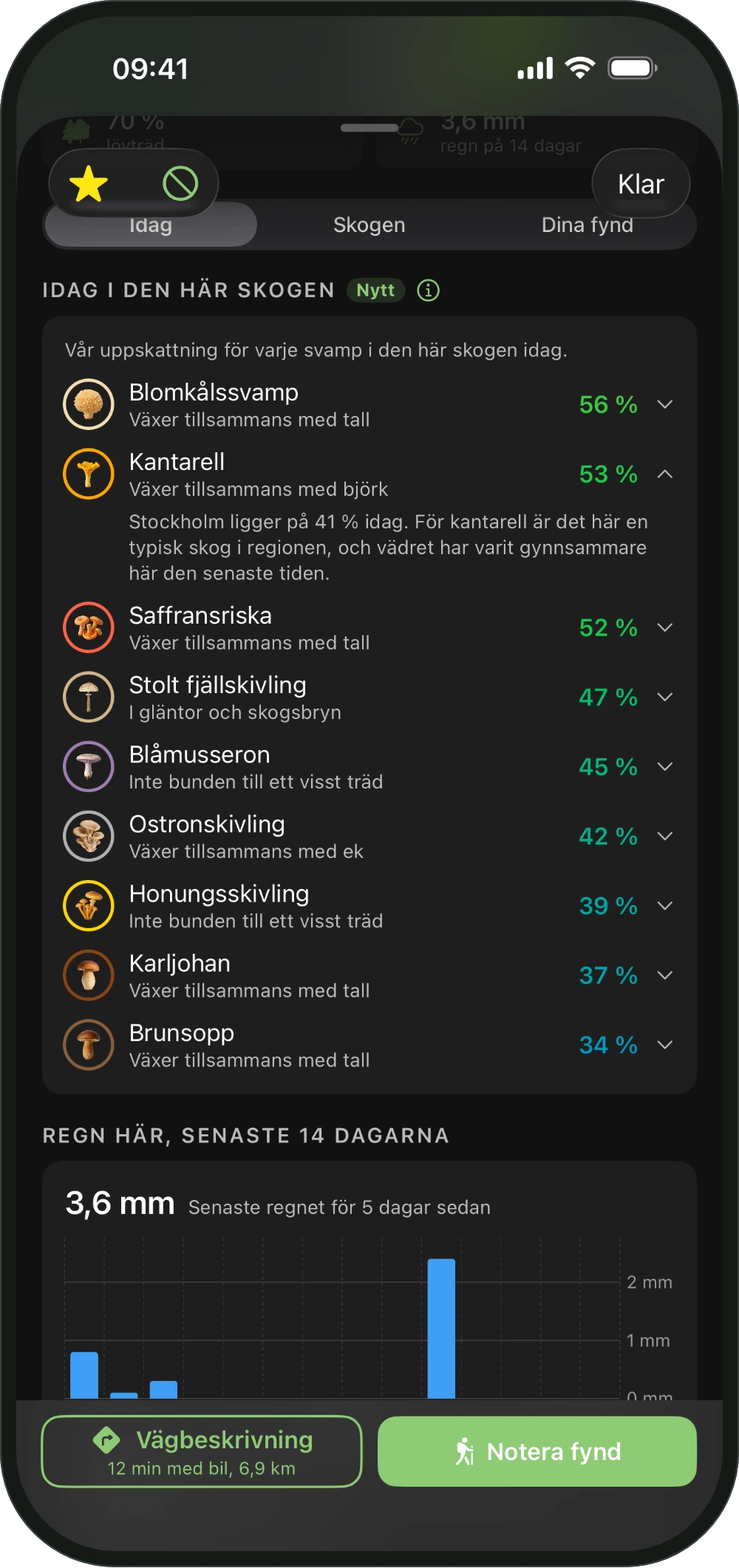 En skogs kort