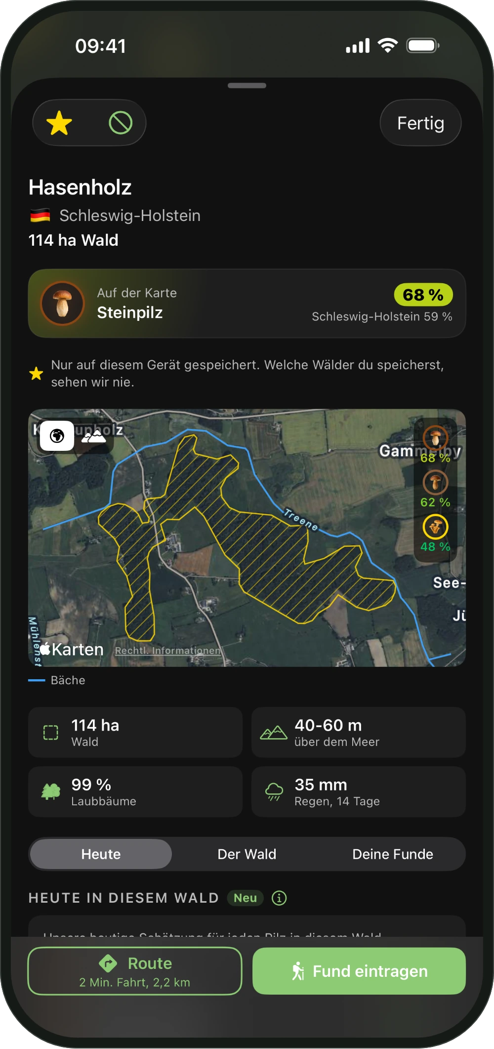 Die Karte eines Waldes