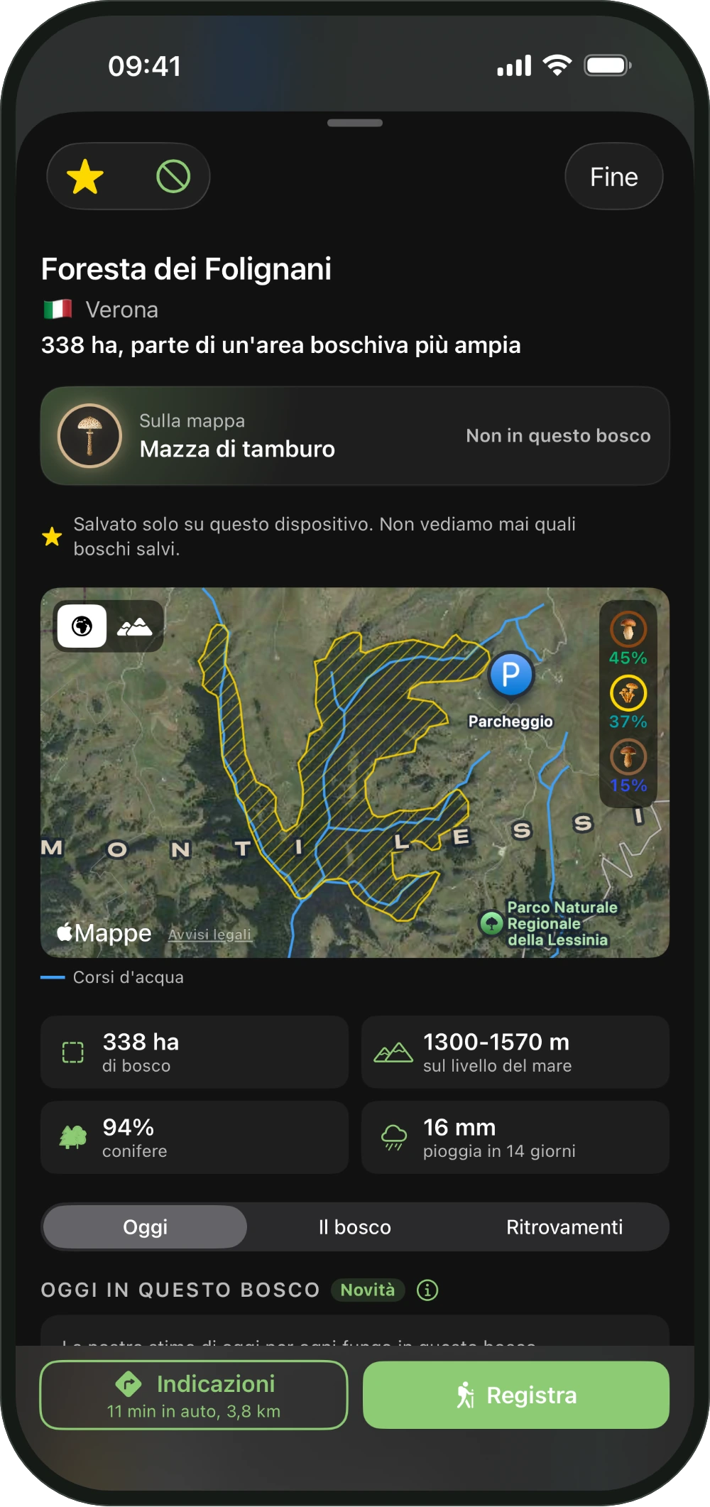 La scheda di un bosco
