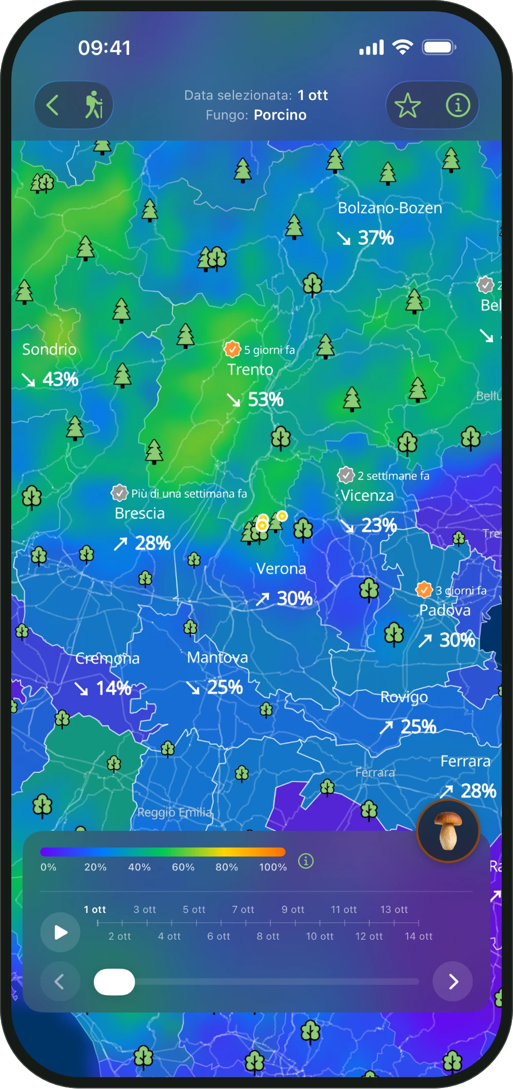 Mappa di ShroomCast con le regioni colorate secondo la probabilità di oggi e le frecce di tendenza
