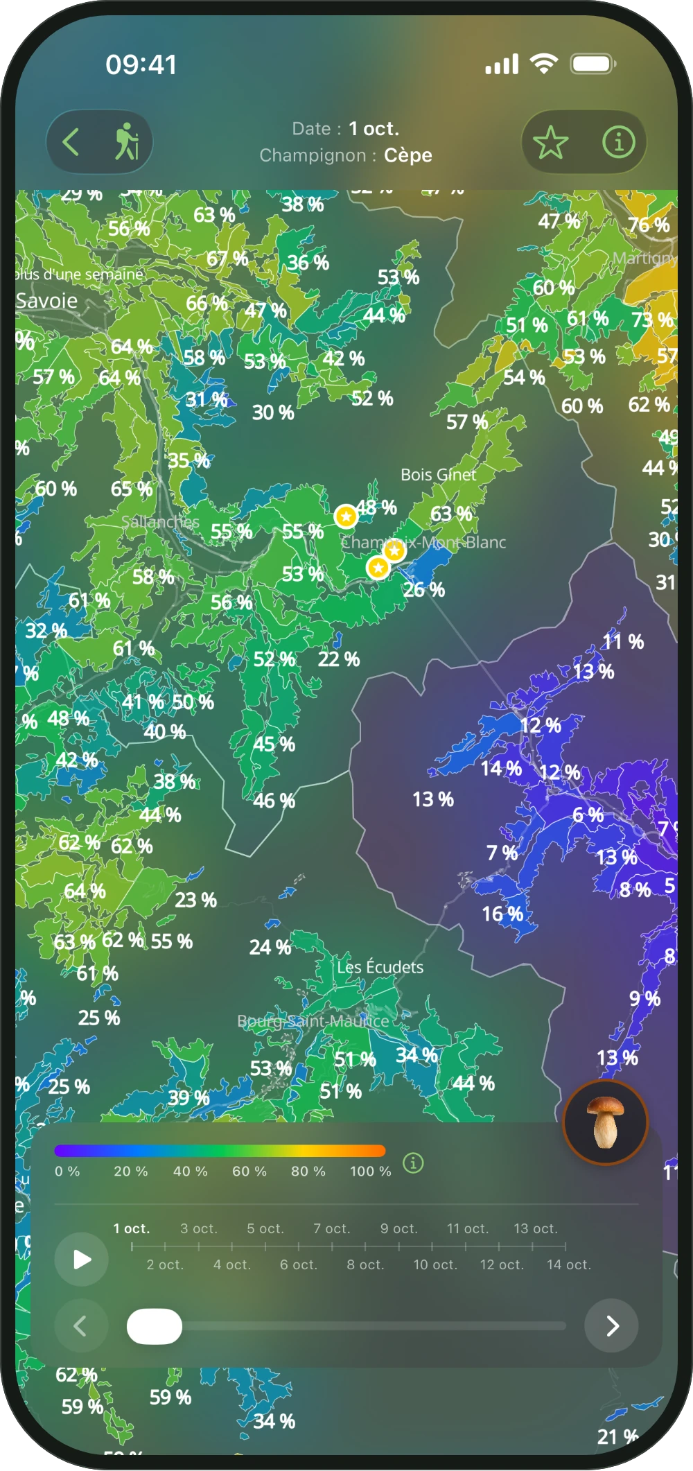 Carte ShroomCast de près avec les bois, leurs chances et une flèche de tendance